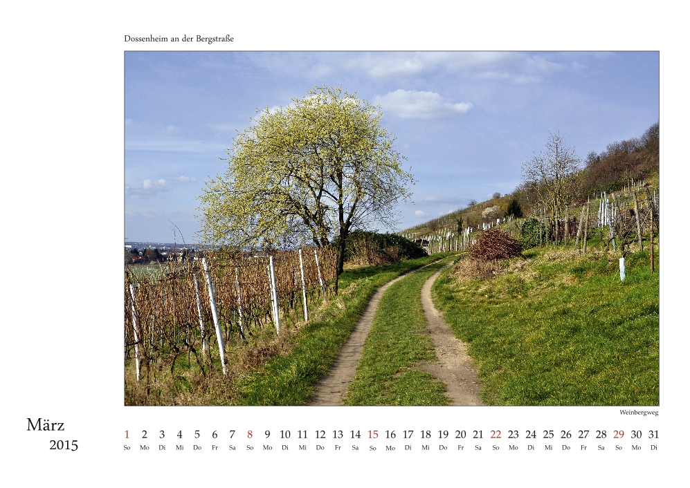 Dossenheim-Kalender 2015