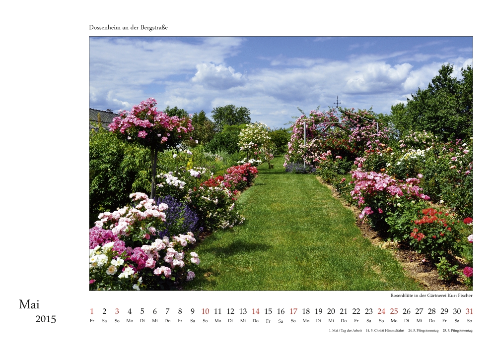 Dossenheim-Kalender 2014