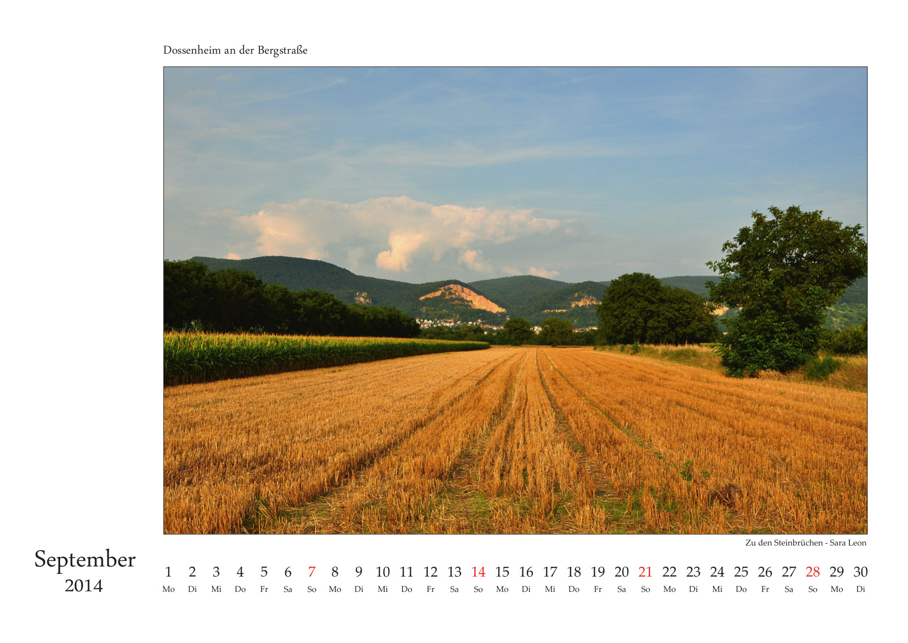 Dossenheim-Kalender 2014