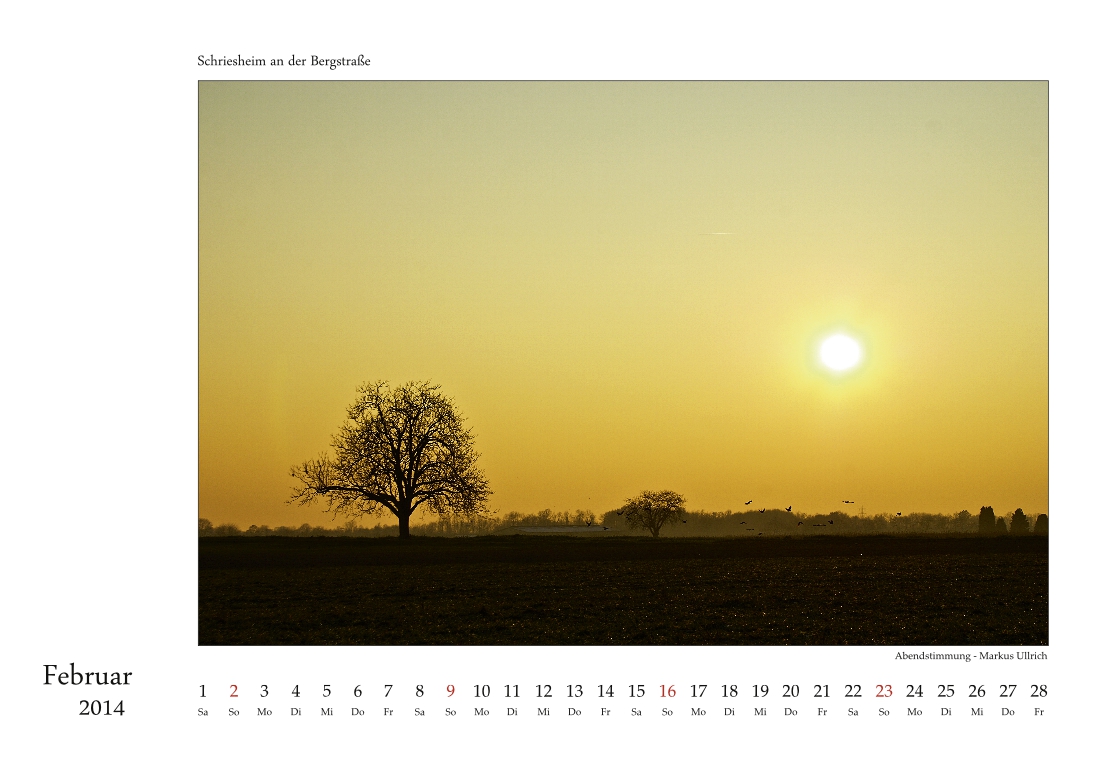 Schriesheim-Kalender 2014