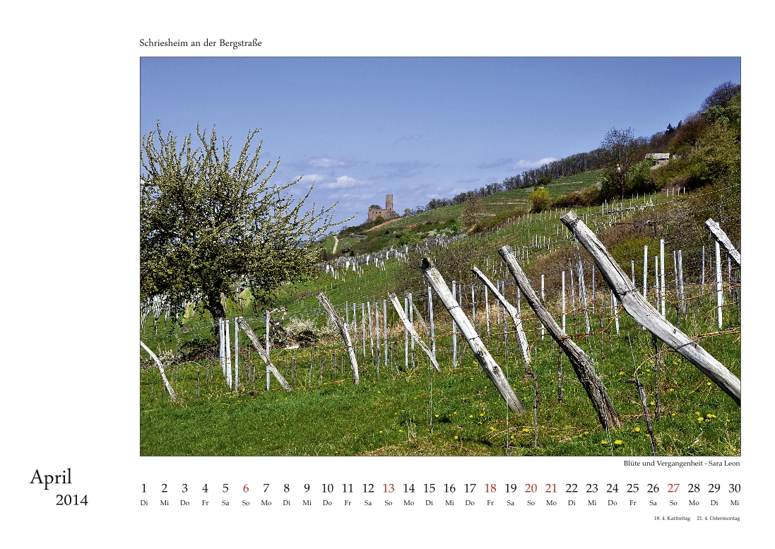 Schriesheim-Kalender 2014